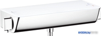 Смеситель Hansgrohe Ecostat Select 13161400 - фото