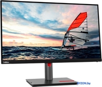 Монитор Lenovo ThinkVision P25i-30 63F4MAT1EU - фото2