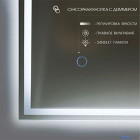 Алмаз-Люкс Зеркало Darwin 80100s-6 (с подсветкой) - фото2