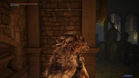Elden Ring: Shadow of the Erdtree Edition для PlayStation 5 - фото2