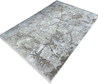 Ковер для жилой комнаты Radjab Carpet Марсель NP 371 Прямоугольник 11494RK (0.8x1.5, Cream/Beige) - фото