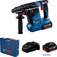Перфоратор Bosch GBH 187-LI Professional 0611923021 (с 2-мя АКБ, кейс) - фото