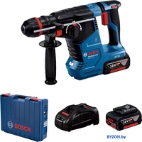 Перфоратор Bosch GBH 187-LI Professional 0611923121 (с 2-мя АКБ, кейс) - фото
