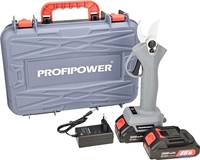 Profipower MKGSP-18V (с 2-мя АКБ, кейс) - фото