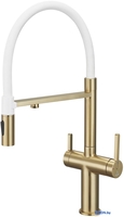 Rose R458G - фото
