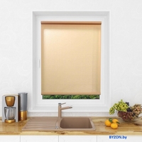 Рулонные шторы Lm Decor LM 30-10 34x160 - фото