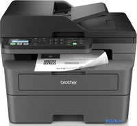 МФУ Brother MFC-L2800DW - фото
