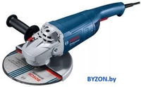 Угловая шлифмашина Bosch GWS 2200 Professional 06018C1120 - фото