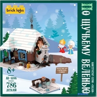Конструктор Brick Labs По щучьему велению AB-1206 - фото