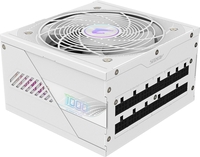 Блок питания Gigabyte AE1000PM PG5 ICE - фото