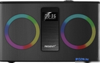 Беспроводная колонка Ferguson Regent 300BT - фото