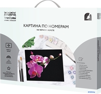 Три совы Цветы орхидеи КХп_48159 - фото2