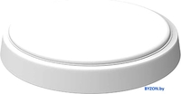 Gauss IP40 D135*32 12W 940lm 4000K 200-240V HALL круглый 193411212 - фото