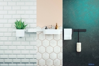 Душевой гарнитур Hansgrohe WallStoris 24291700 - фото2