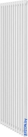 Дизайн-радиатор Royal Thermo Insignia C2180 - 12 секций RAL9016 - фото