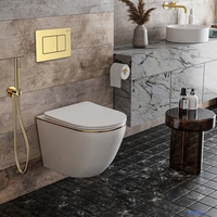 Унитаз подвесной Roxen Antares Gold в комплекте с инсталляцией StounFix Dual Fresh 6 в 1 968460 (кнопка: брашированное золото) - фото2