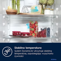 Холодильник Electrolux GreenZone 700 E7TNGE75S - фото2