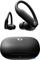 Наушники Beats Powerbeats Pro 2 (черный) - фото