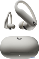 Наушники Beats Powerbeats Pro 2 (серый) - фото