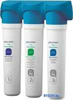 Комплект картриджей Paulmark Refine System PM-110003 - фото