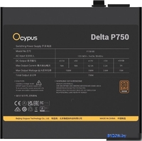 Блок питания Ocypus Delta P750 Delta-P750-B1FDBK024X-EU - фото2