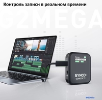 Радиосистема Synco G2(A2) Mega - фото2