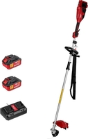 Триммер Wortex TB 3036-1 ALL1 XLT Set 1334872 (с 2-мя АКБ) - фото2