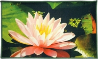 Shahintex Fantasy Icarpet 50x80 007 451711 - фото