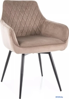 Стул с подлокотниками Signal Marlo Velvet Bluvel 40 (темно-бежевый/черный) - фото