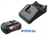 Bosch F016800621 (36В/2 Ah + 36В) - фото