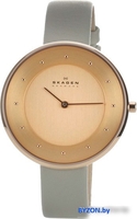 Наручные часы Skagen SKW2139 - фото