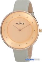 Наручные часы Skagen SKW2139 - фото2