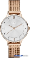 Наручные часы Skagen SKW2151 - фото