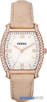 Наручные часы Fossil ES3108 - фото