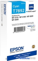Картридж Epson C13T789240 - фото