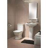 Унитаз Vitra Serenada [9722B003-7203] - фото2