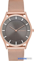 Наручные часы Skagen SKW2378 - фото