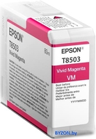 Картридж Epson C13T850300 - фото
