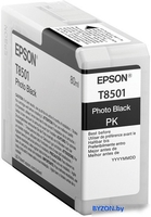 Картридж Epson C13T850100 - фото