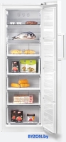 Морозильник BEKO RFSK266T01W - фото2