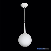 Светильник Lightstar 803110 - фото